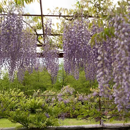 I Corni Di Nibbio Bed & Breakfast