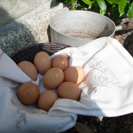I Corni Di Nibbio