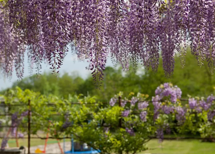 I Corni Di Nibbio Bed & Breakfast